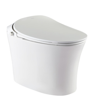 家居生涯里智能马桶使用及保养的幼技巧！洁具好品牌推荐|智能马桶