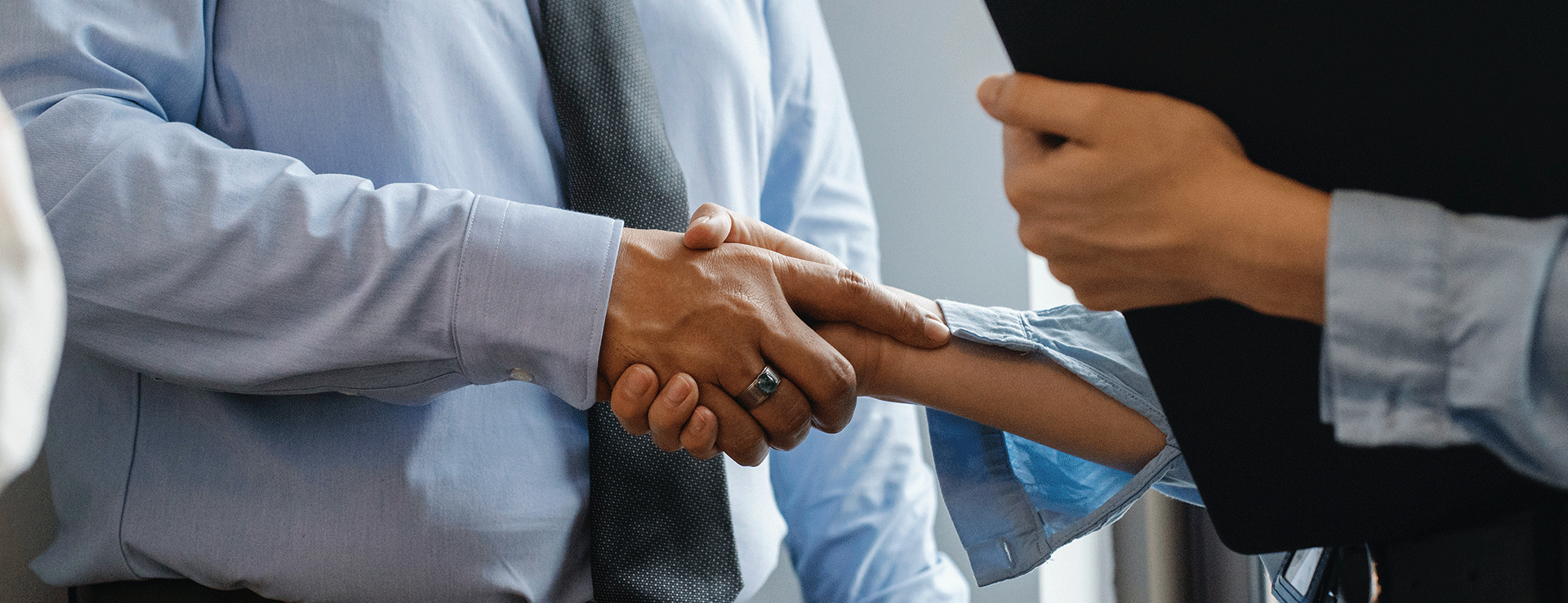 盛开 合作 求实 担责